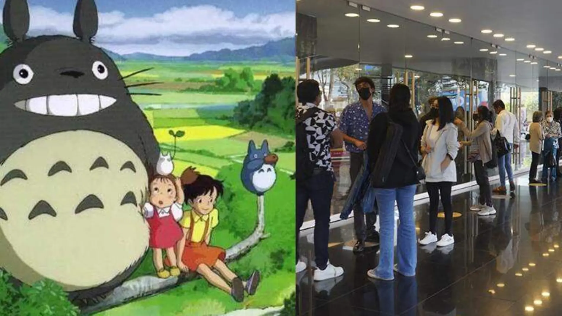 Totoro película